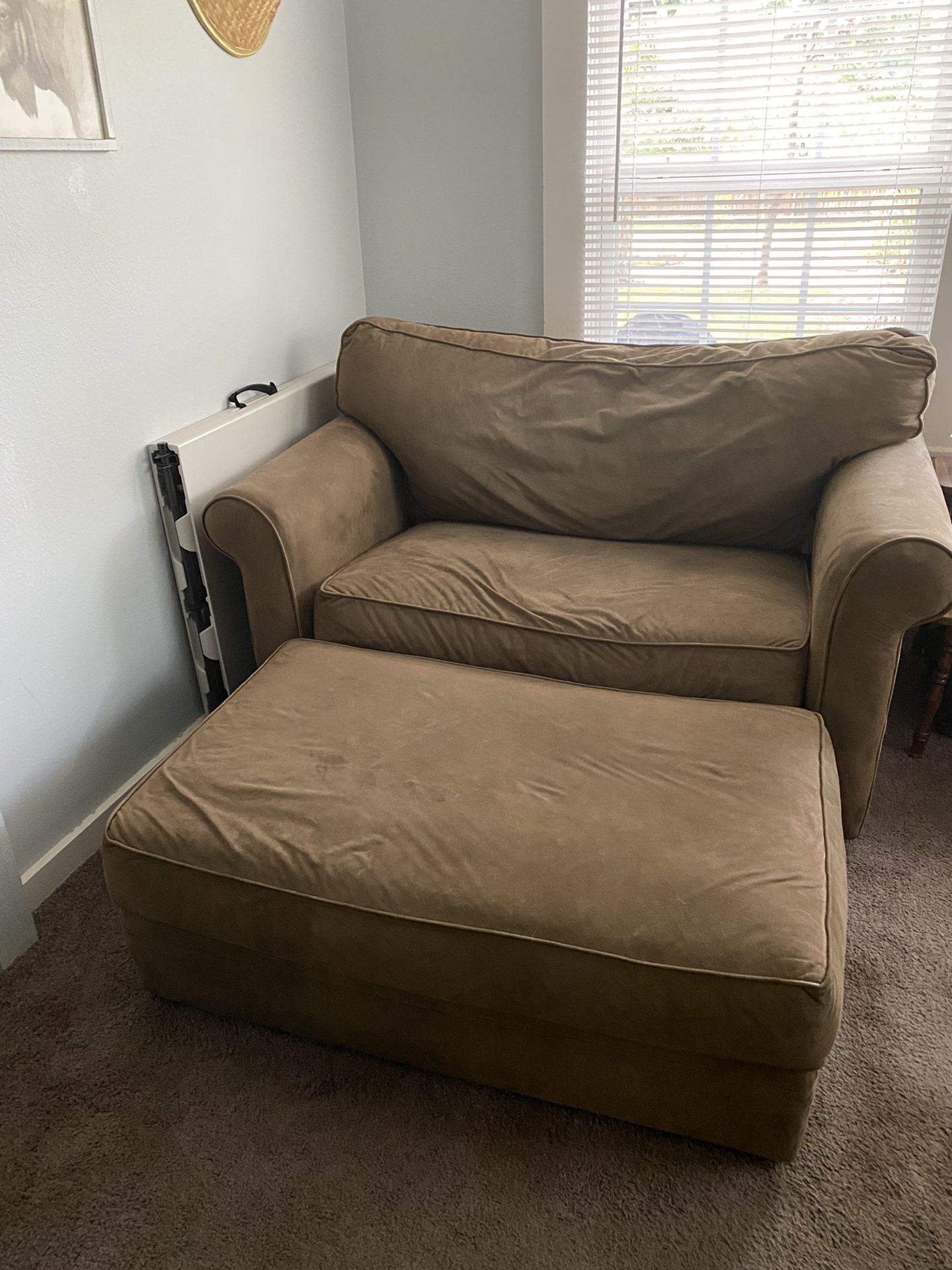 Love Seat/Pull Out Bed