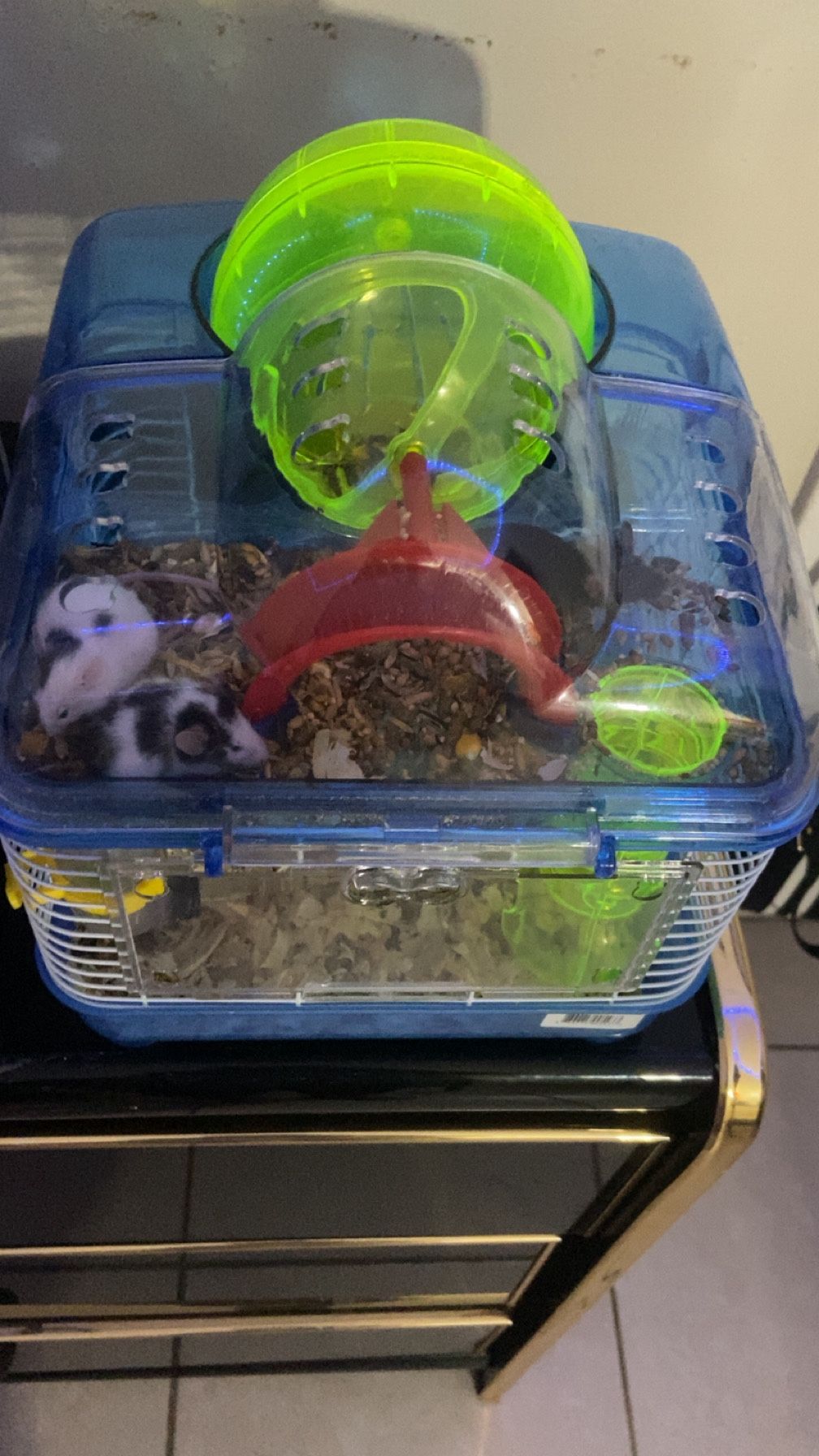 Mice