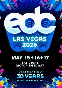 EDC 2026 VIP
