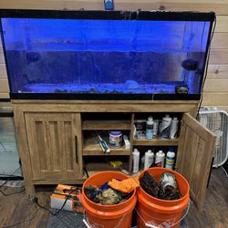 75 Gal Fish Tank And Stand/optl Equipment 