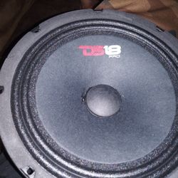 New Pair of Ds18 8" Loudspeakers