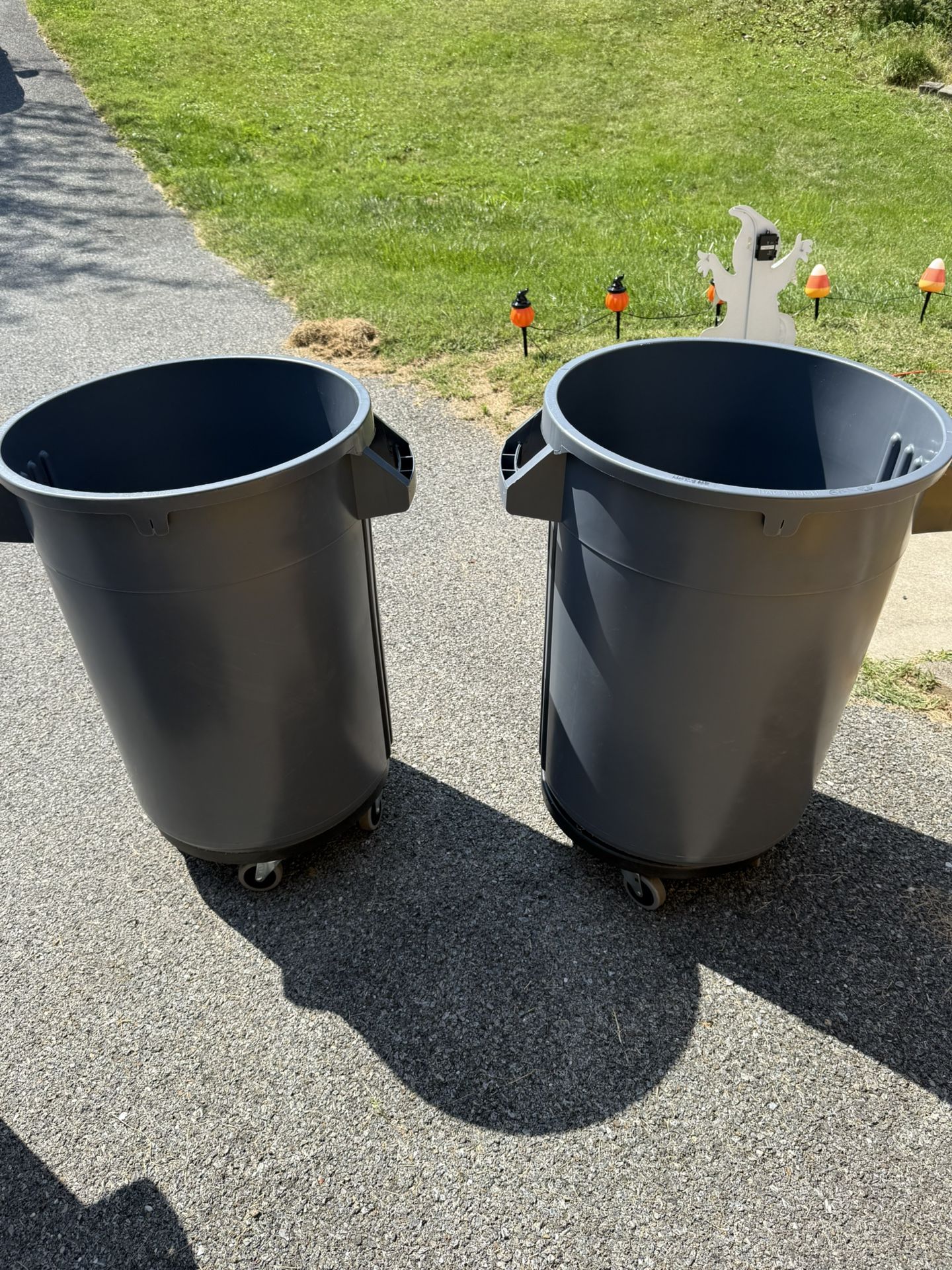 Commercial Trash can & Dolly