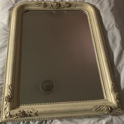 Vintage Antique Style Mirror Roses Around Frame .   25 X 33 