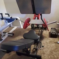 Leg Press 