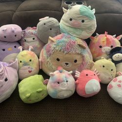 Squishmallows for Sale