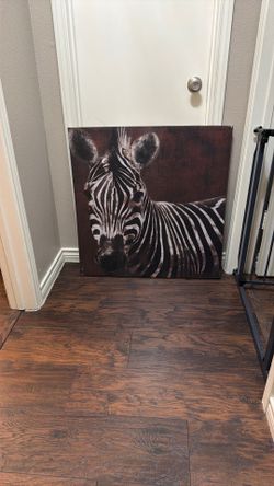 Zebra wall picture