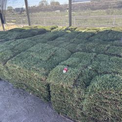 Grass we deliver 
