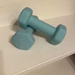 5lb Dumbells (2)