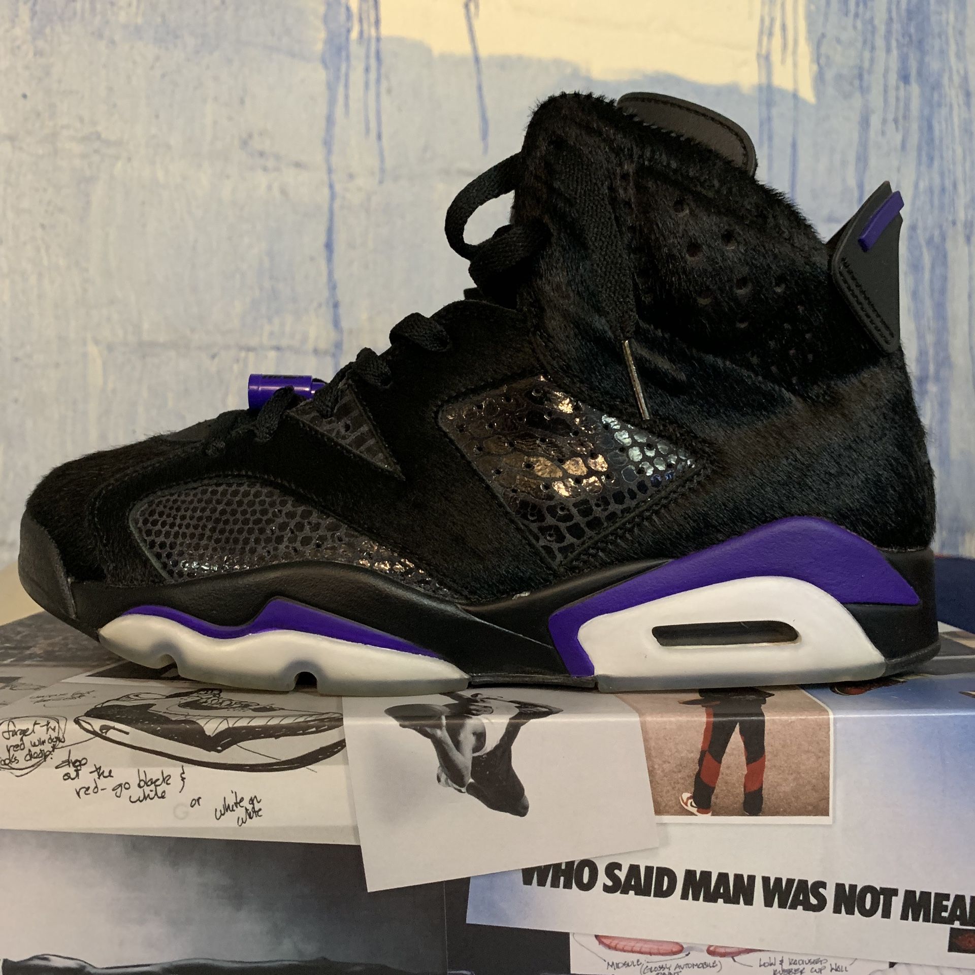 2019 Air Jordan 6 “Social Status