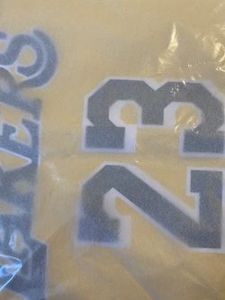 Nike Swingman Laker Jersey (Lebron James) Size L