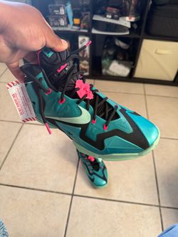 DS LeBron 11s south beach (Size 9)