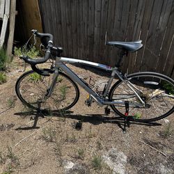 Specialized  Bicycle 