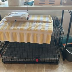 Dog cage And mattress 