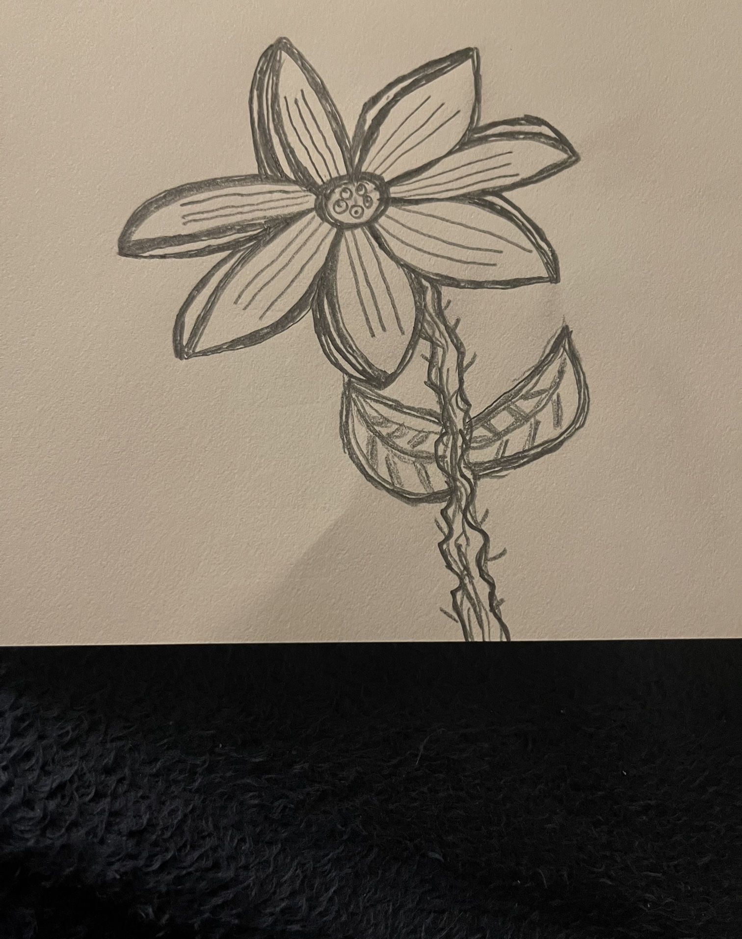 Handmade Flower Pencil Drawing New 