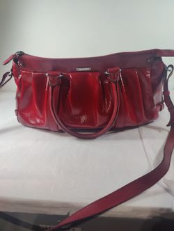 Entrupy certified Celine lerine purse