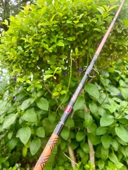 Penn Passion Fishing Rod