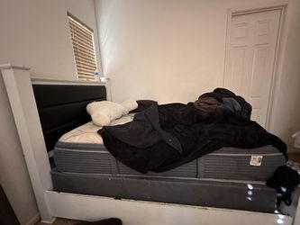Bed Frame (not Mattress) Queen