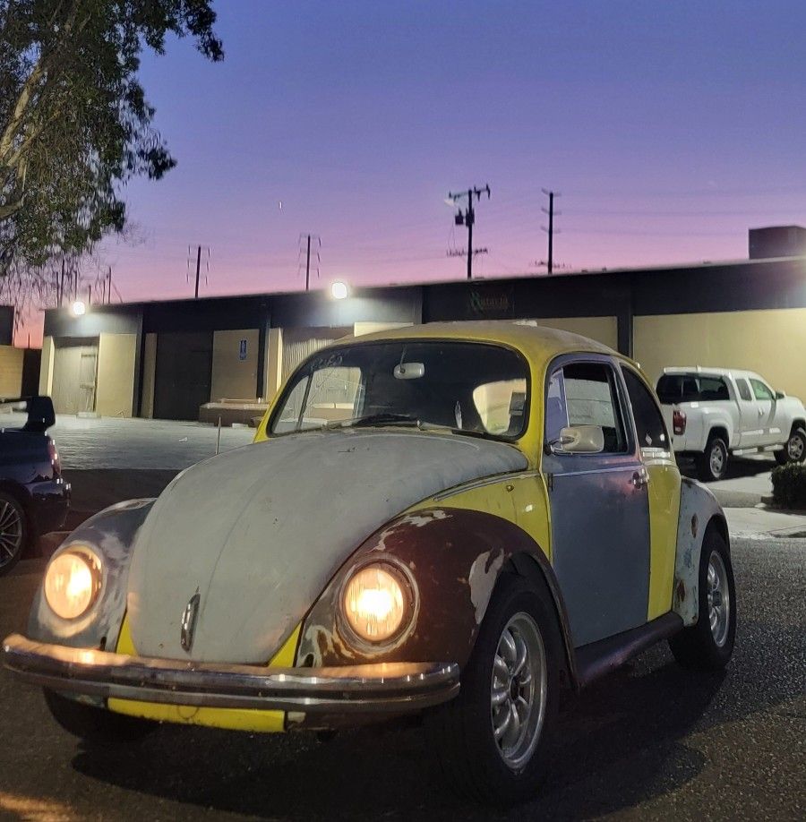 VW Bug Volkswagen Beetle