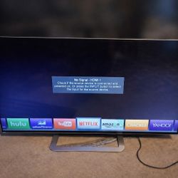 55” Vizio TV – Works Perfect – Great for Gaming / Garage / Bedroom