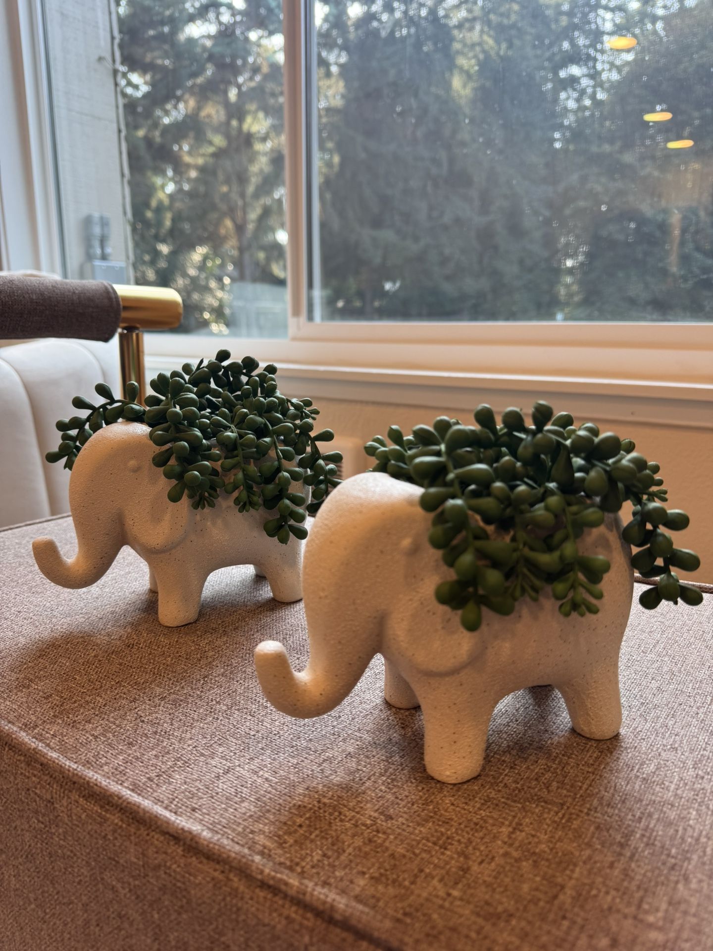 Two Faux Elephant Succulent And a free candle