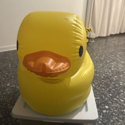 Bathtime Duck