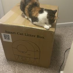 Automatic Cat Litter Box - New