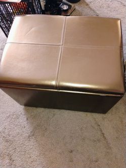 Foux leather storage pickup only cash