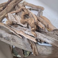 Clean Ocean Driftwood 