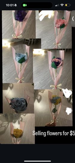 Roses