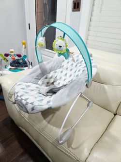 Ingenuity Baby Bouncer