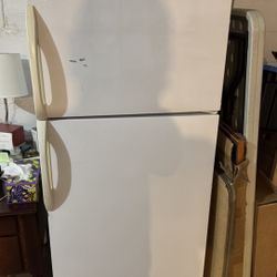 Basement Refrigerator 