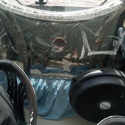 Good Vintage Table Hey Beautiful He Needs A Home