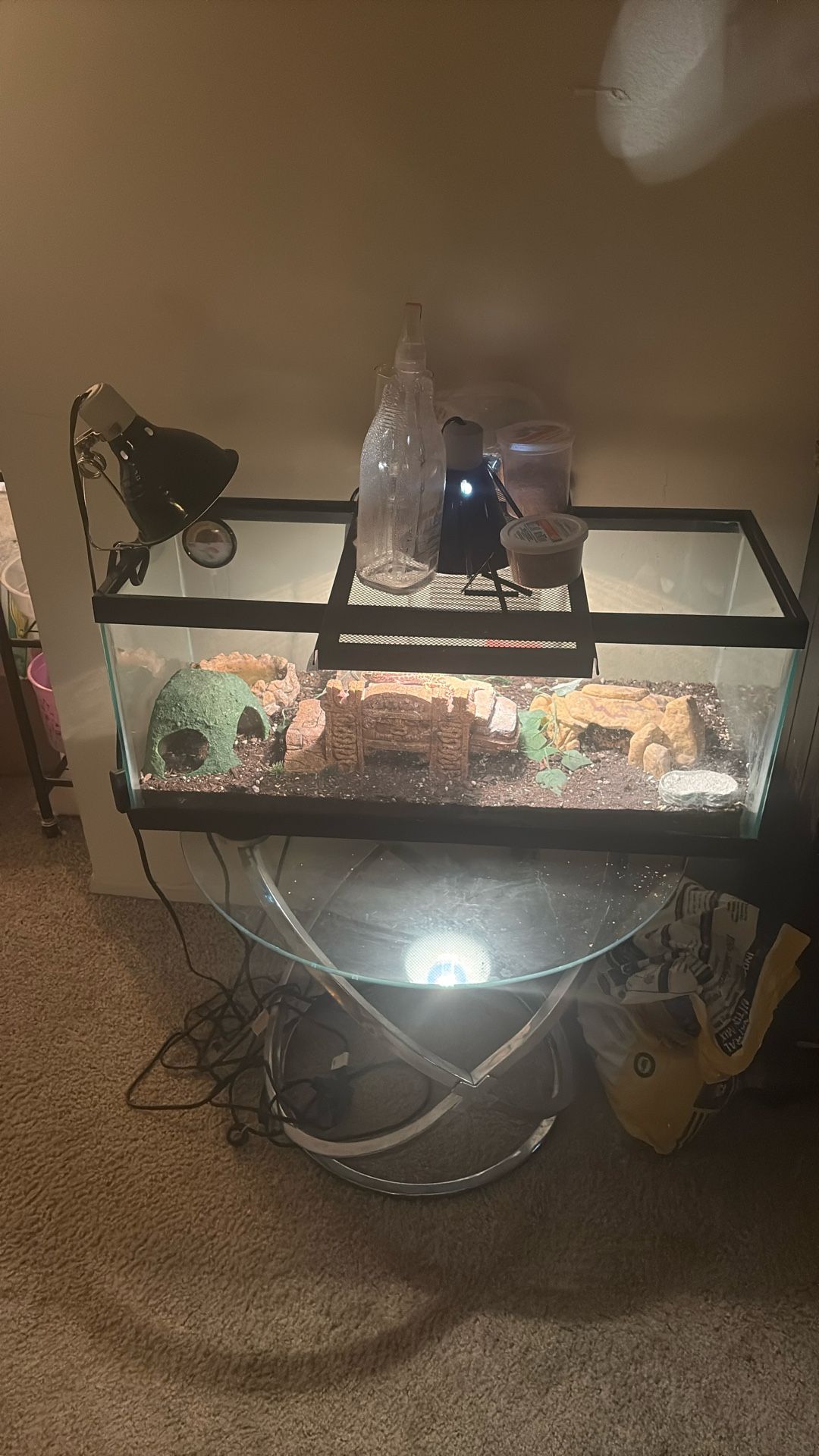 Lizard Tank For Sell