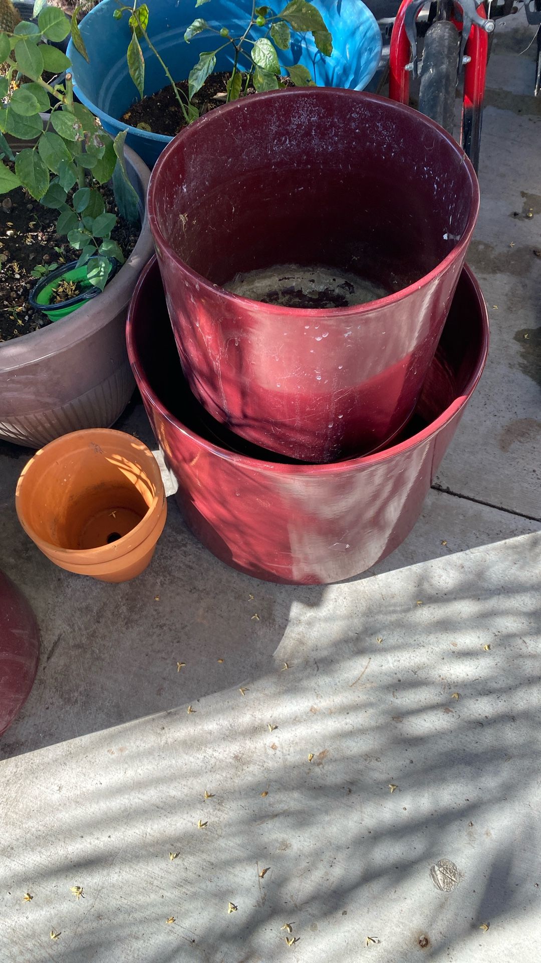 5 Macetas Una Grande 3 Medianas Y Una Chica