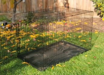 Dogs Cage 
