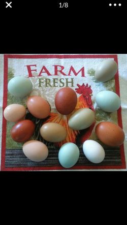 Farm Fresh Eggs