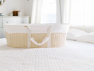 Ark Bassinet 