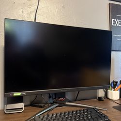 Predator Gaming Monitor 