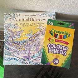 Adult Coloring Book With Pencils
