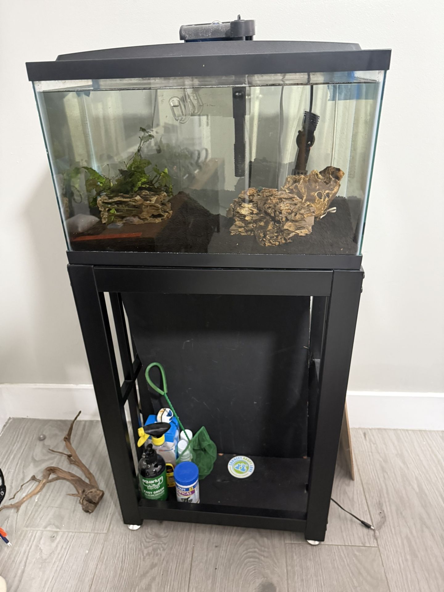 10 gallon fish tank + stand 
