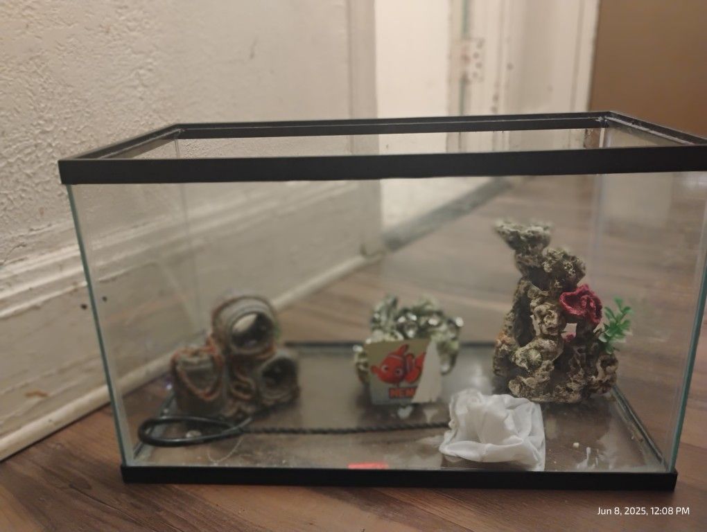 Small Fish Tank