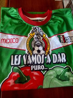 Soccer worl cup fans