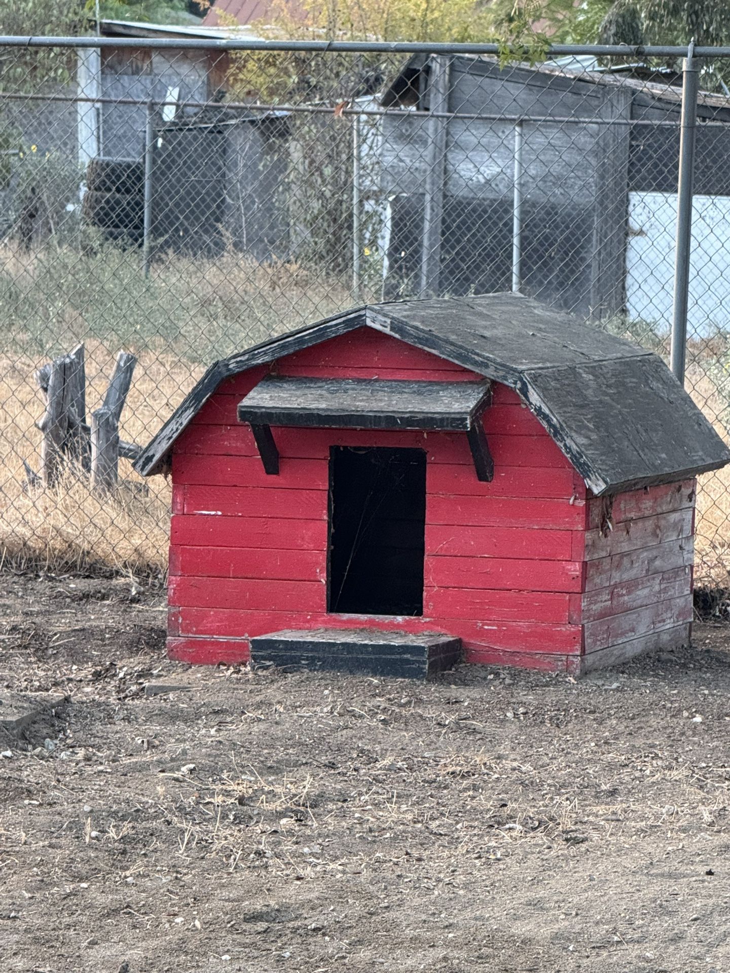 Dog house 