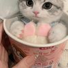Nini L