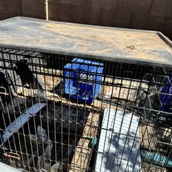 Dog Kennels And Small Play Pen