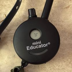 Dog Shock Collar Mini Educator ET300