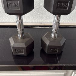 20 lbs Weights 
