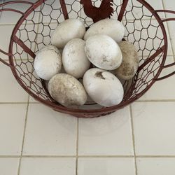 Fresh Farm Eggs