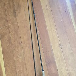 Fly Fishing Rod/Reel + Case