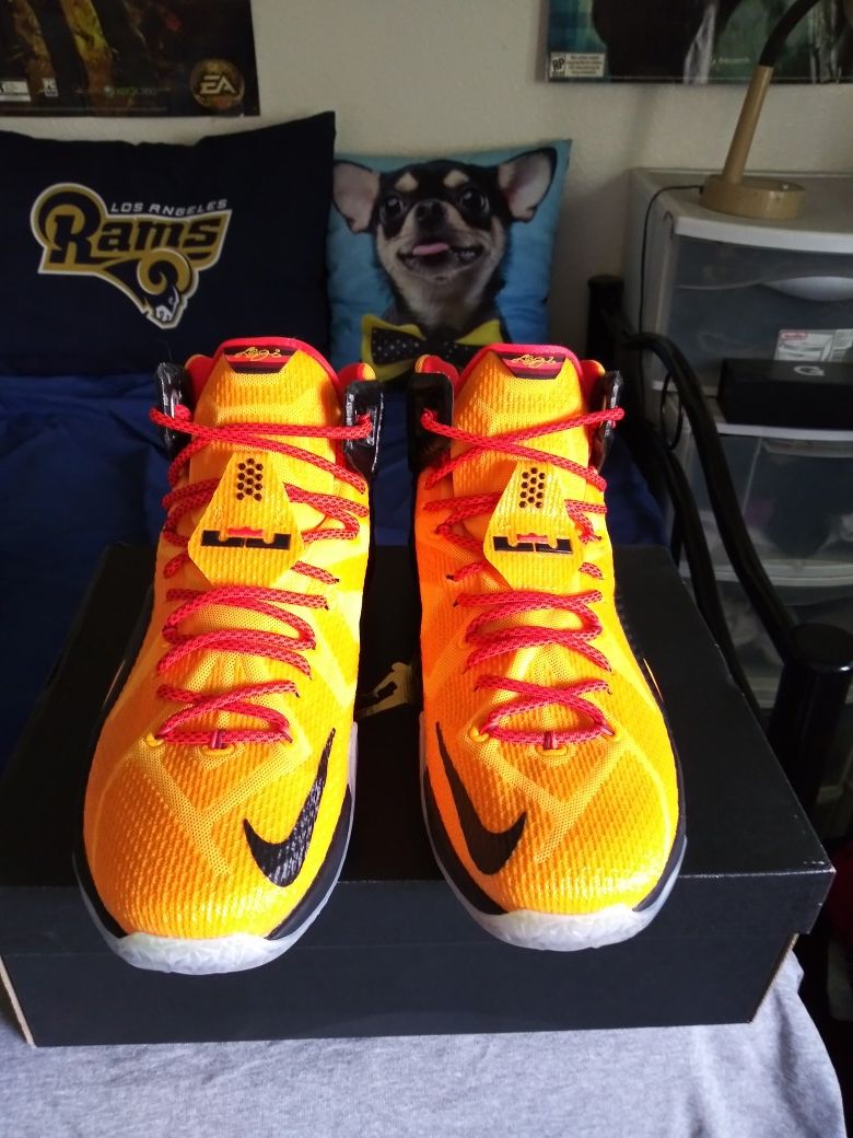 LeBron 12 witness